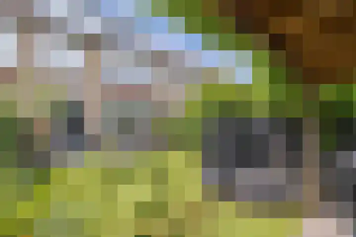 Vloedwal 15 Huizen thumbnail 22