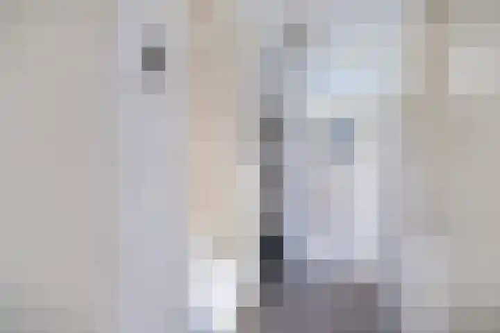 Vloedwal 15 Huizen thumbnail 24