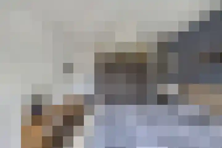 Vloedwal 15 Huizen thumbnail 26