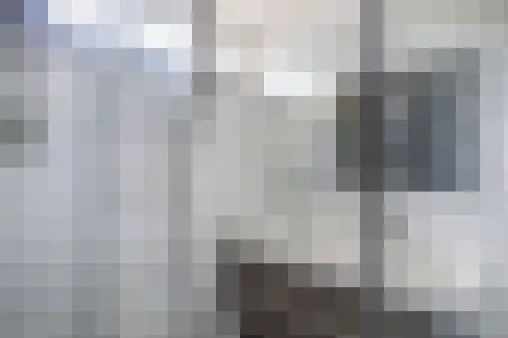 Vloedwal 15 Huizen thumbnail 31