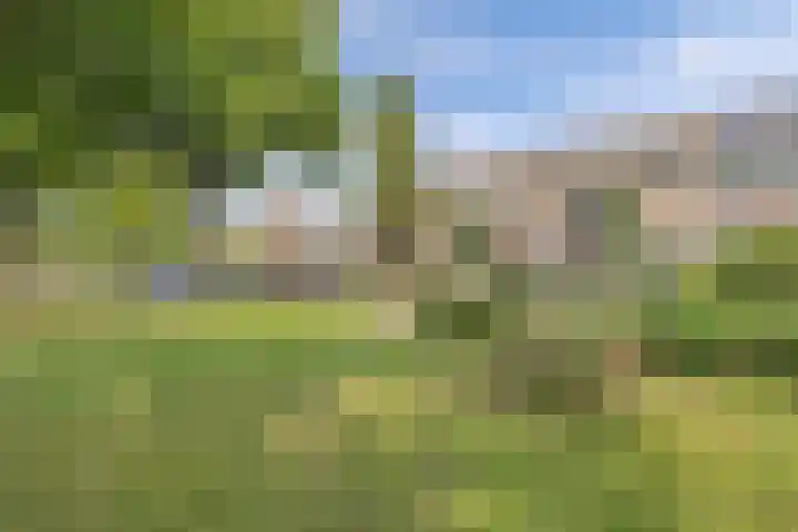 Vloedwal 15 Huizen thumbnail 6
