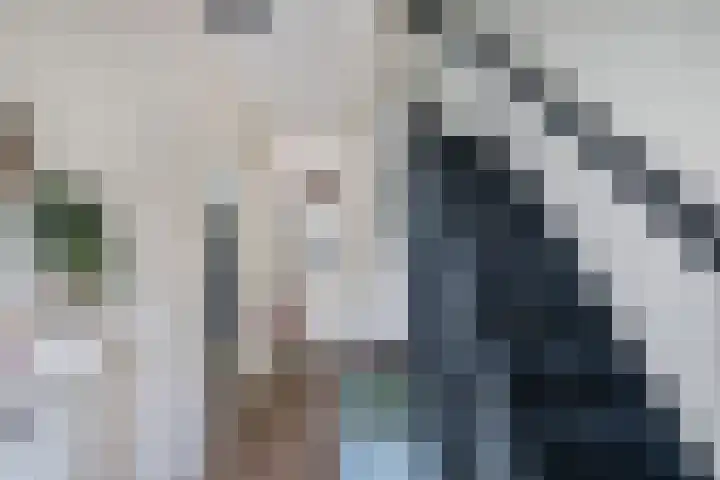 Vloedwal 15 Huizen thumbnail 8