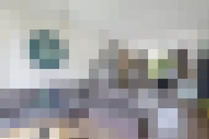 Vloedwal 15 Huizen thumbnail 9