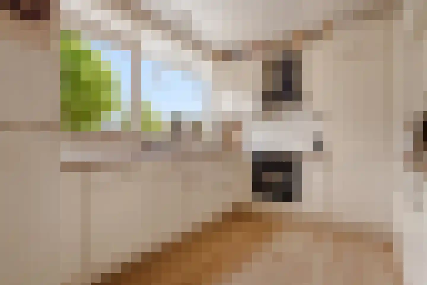 Vloedwal 16 Huizen thumbnail 15