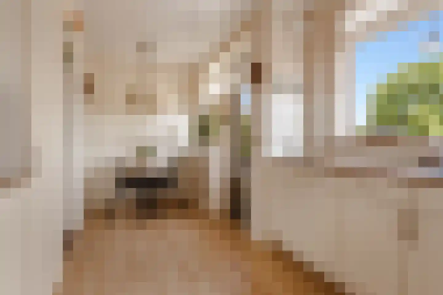 Vloedwal 16 Huizen thumbnail 18