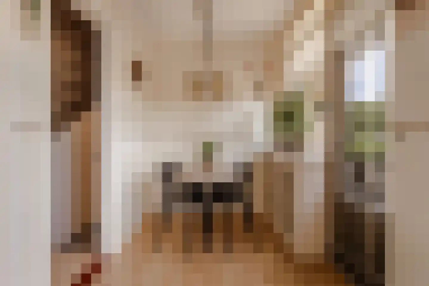 Vloedwal 16 Huizen thumbnail 19
