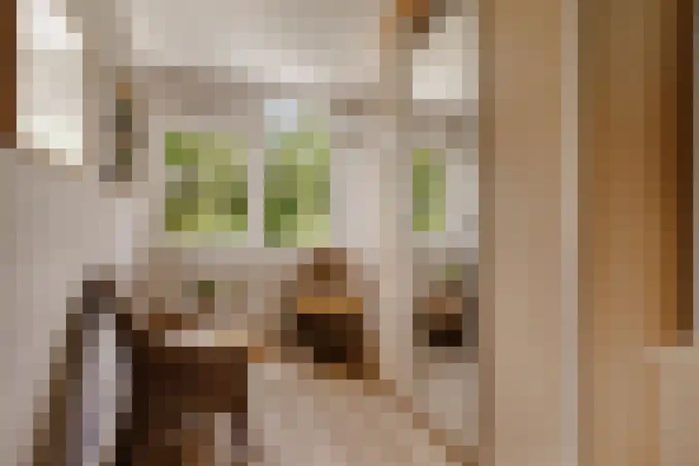 Vloedwal 16 Huizen thumbnail 24