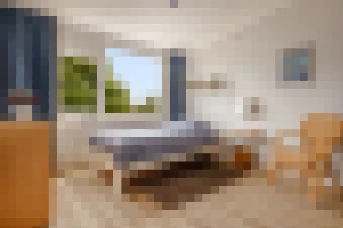 Vloedwal 16 Huizen thumbnail 26
