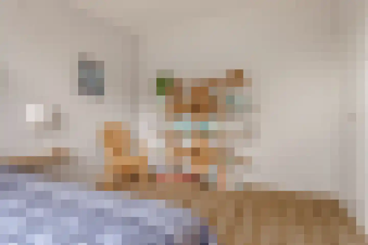 Vloedwal 16 Huizen thumbnail 27