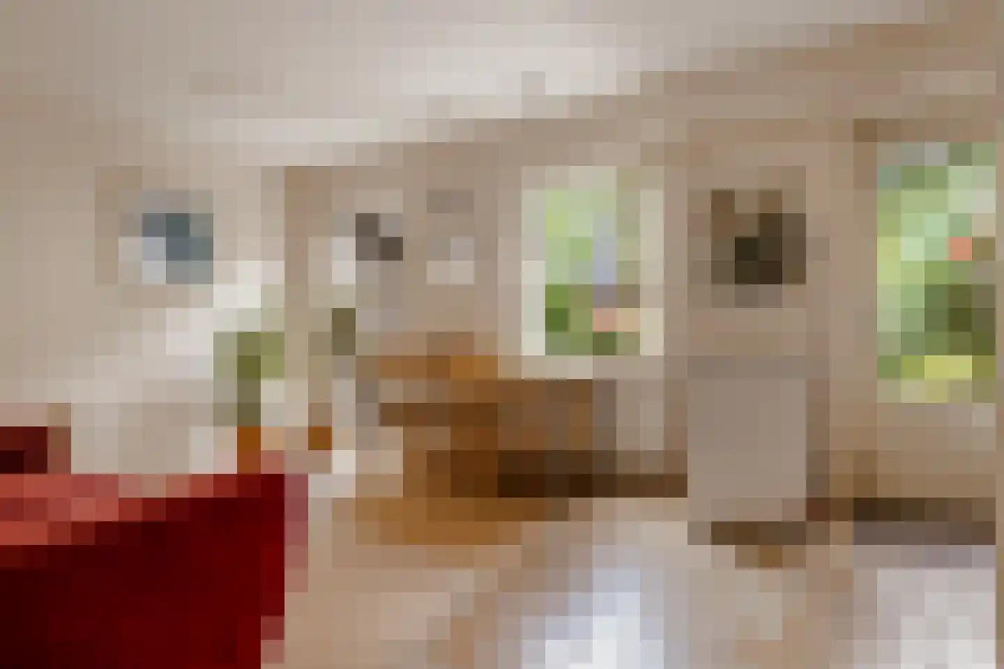 Vloedwal 16 Huizen thumbnail 31