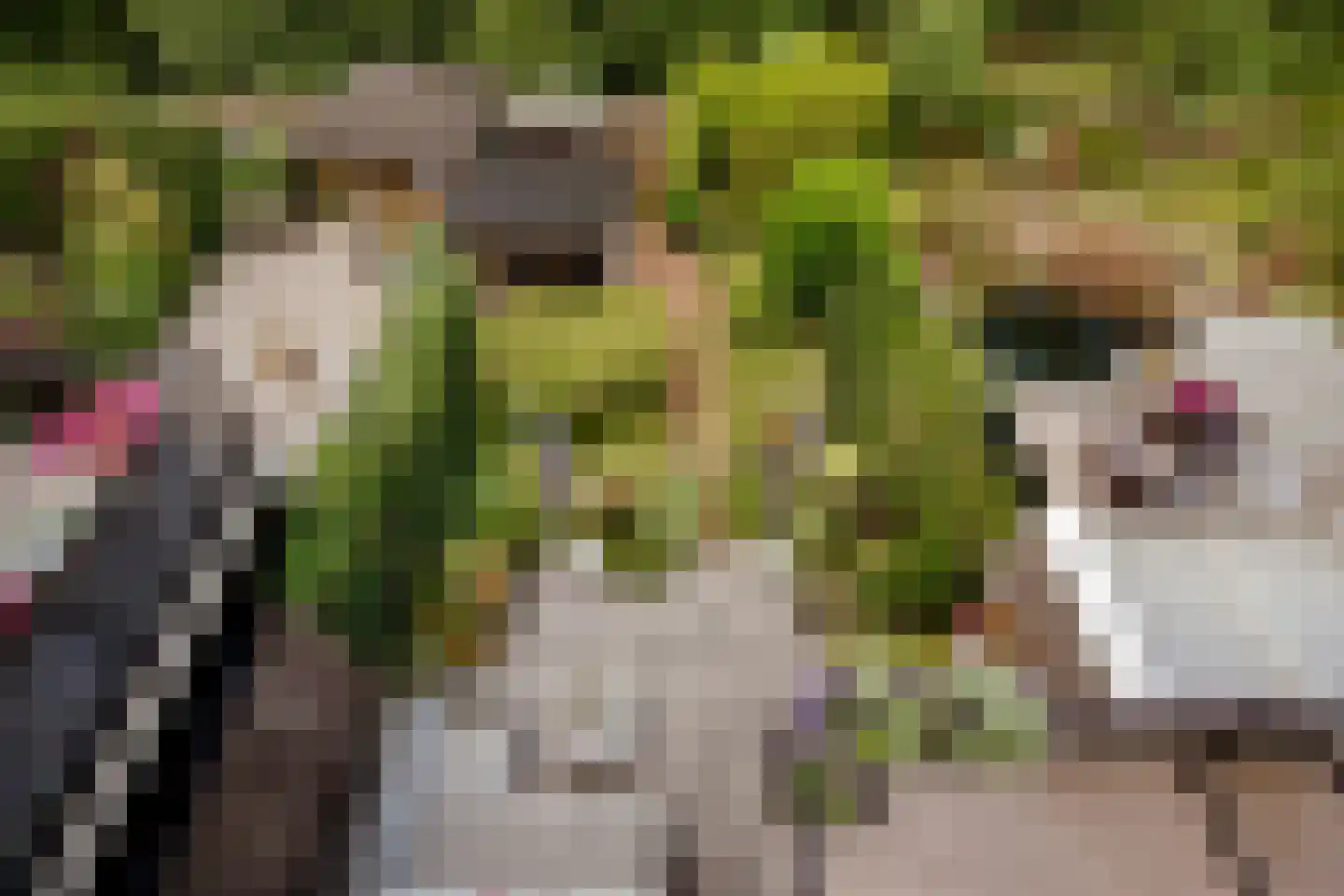 Vloedwal 16 Huizen thumbnail 34