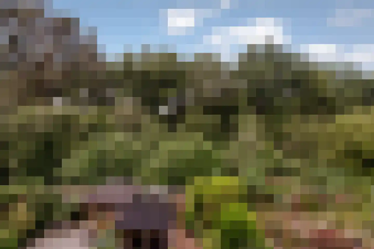 Vloedwal 16 Huizen thumbnail 35