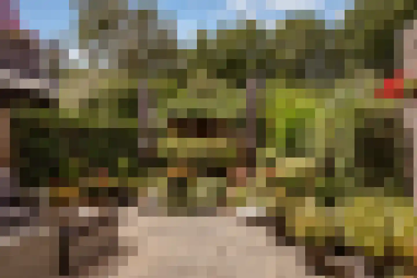 Vloedwal 16 Huizen thumbnail 36