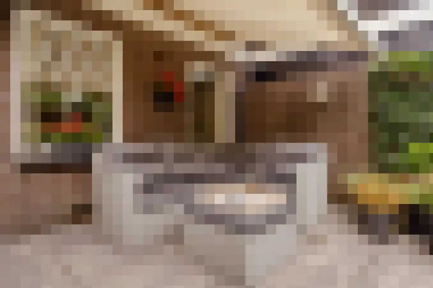 Vloedwal 16 Huizen thumbnail 37