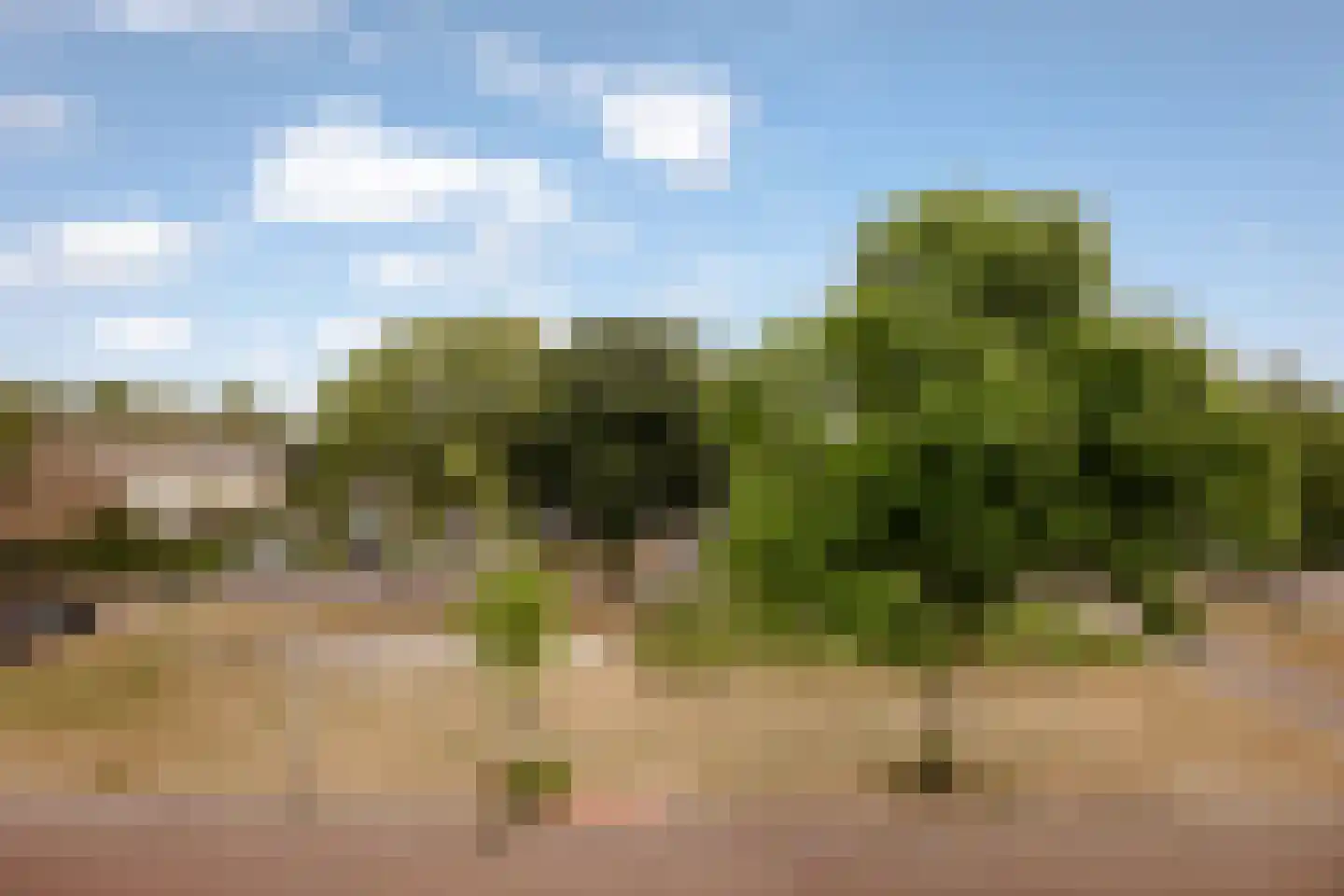 Vloedwal 16 Huizen thumbnail 40