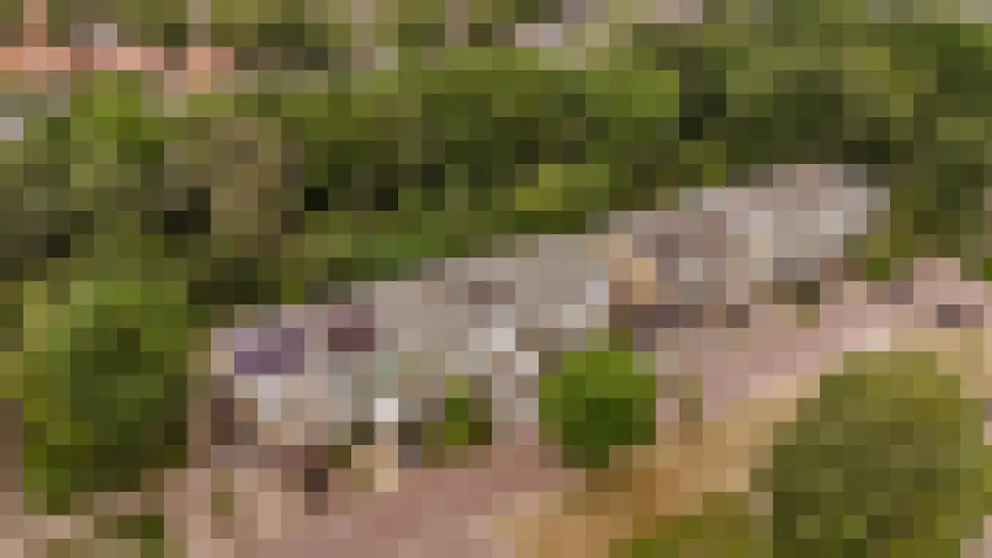 Vloedwal 16 Huizen thumbnail 41