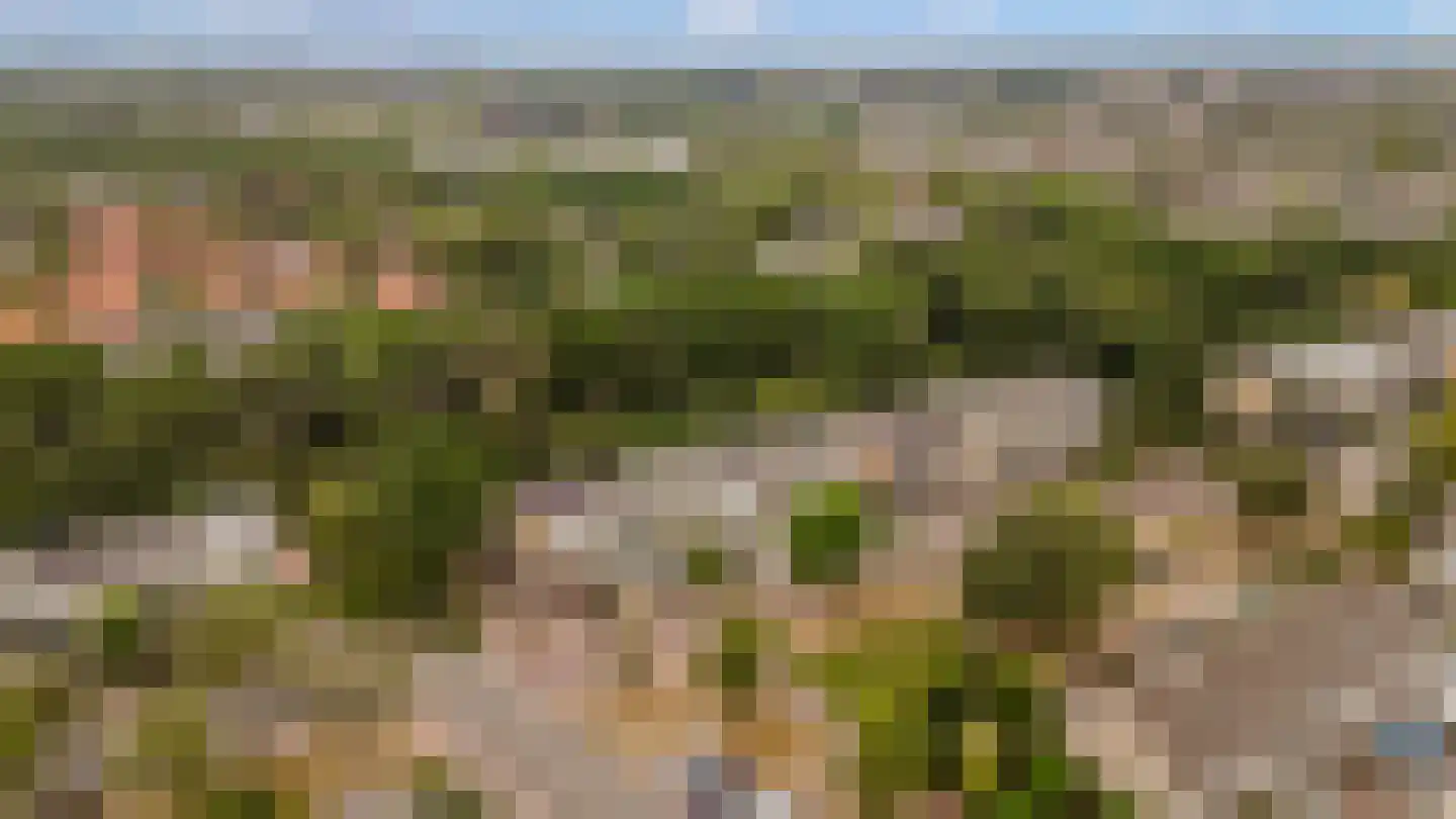 Vloedwal 16 Huizen thumbnail 42