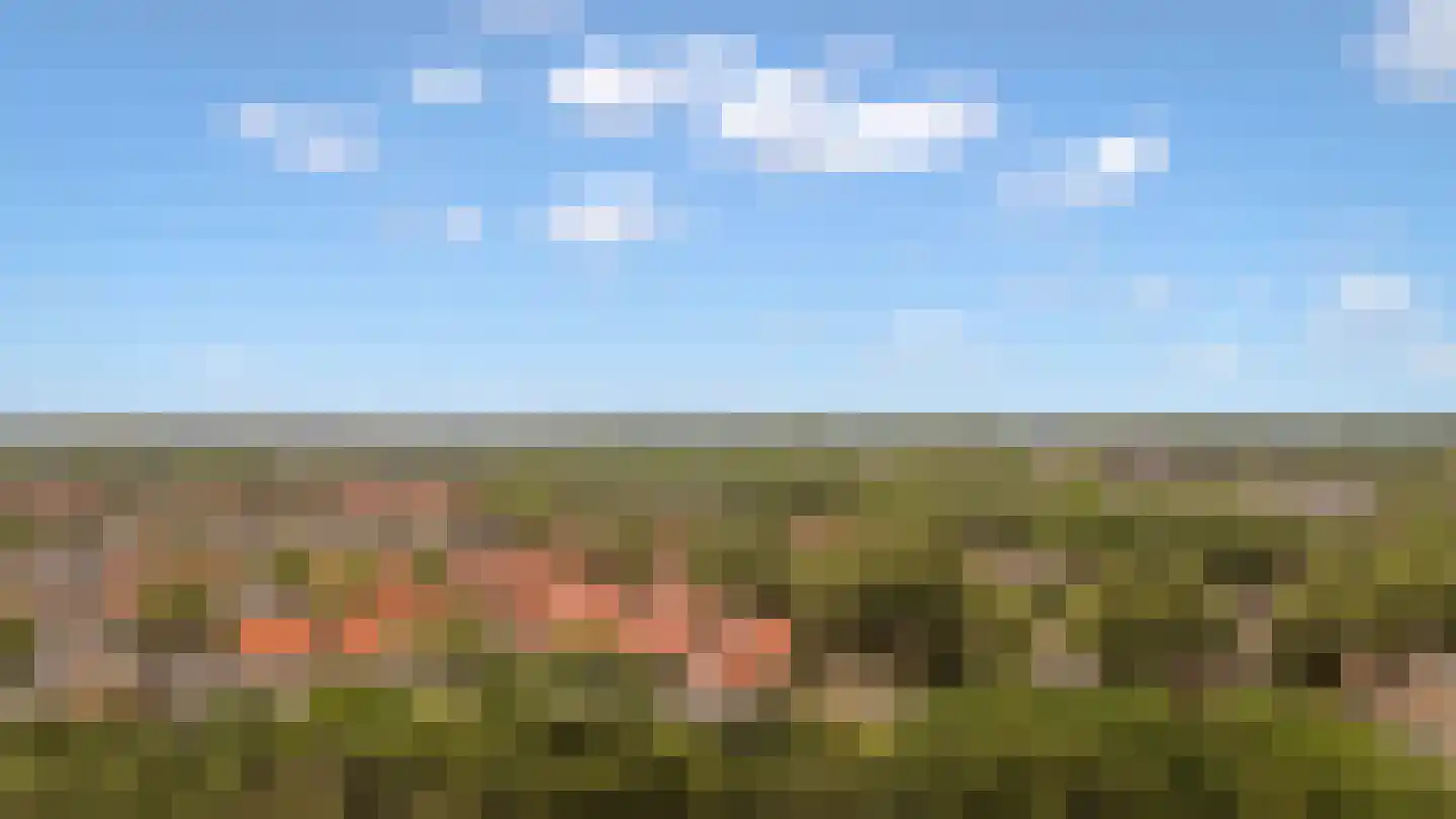Vloedwal 16 Huizen thumbnail 43