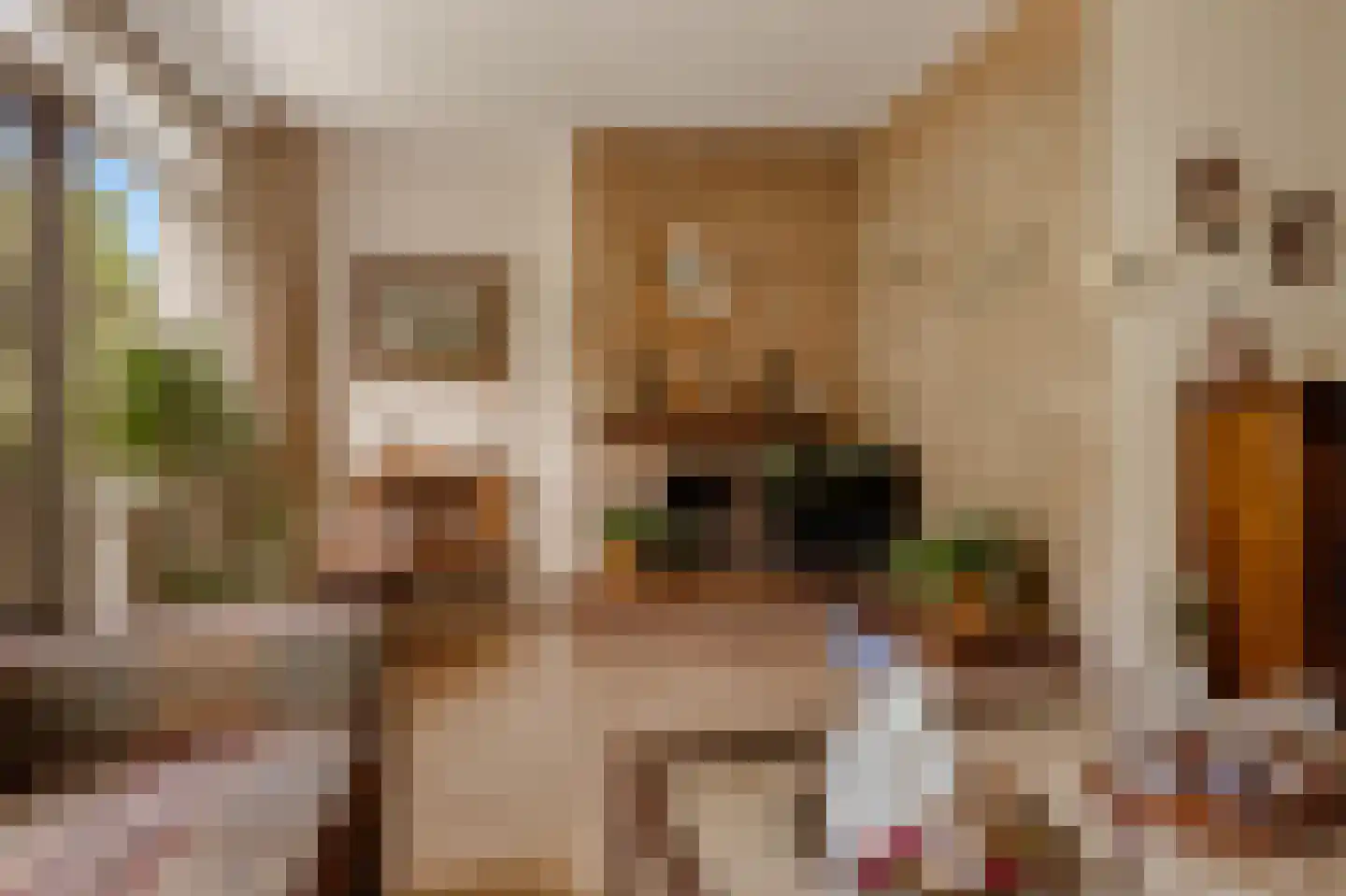 Vloedwal 16 Huizen thumbnail 9