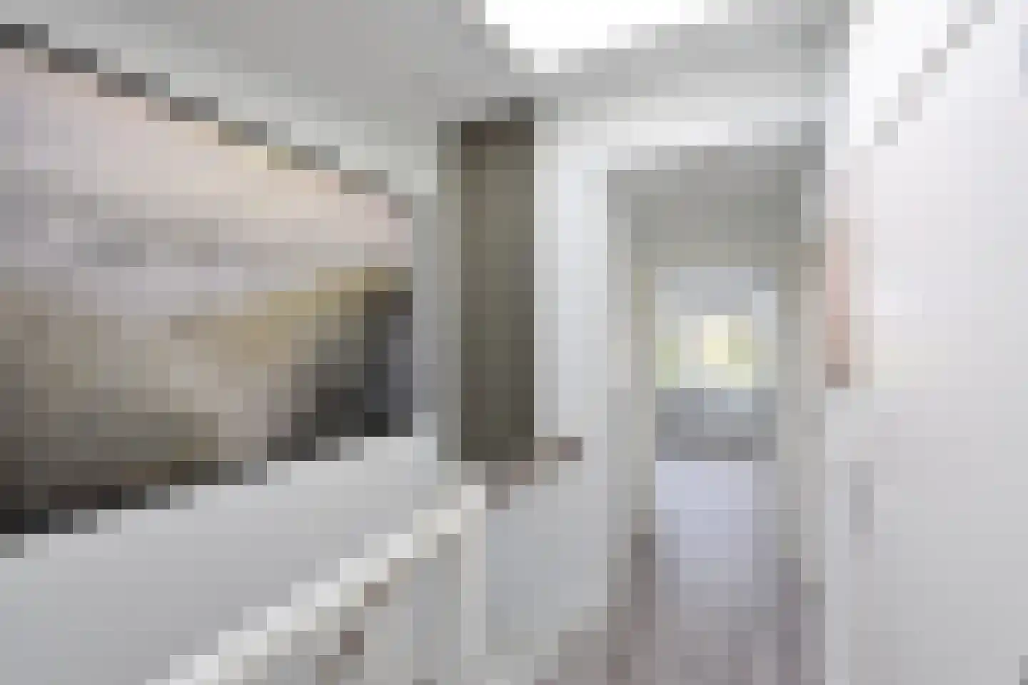 Vloedwal 34 Huizen thumbnail 13