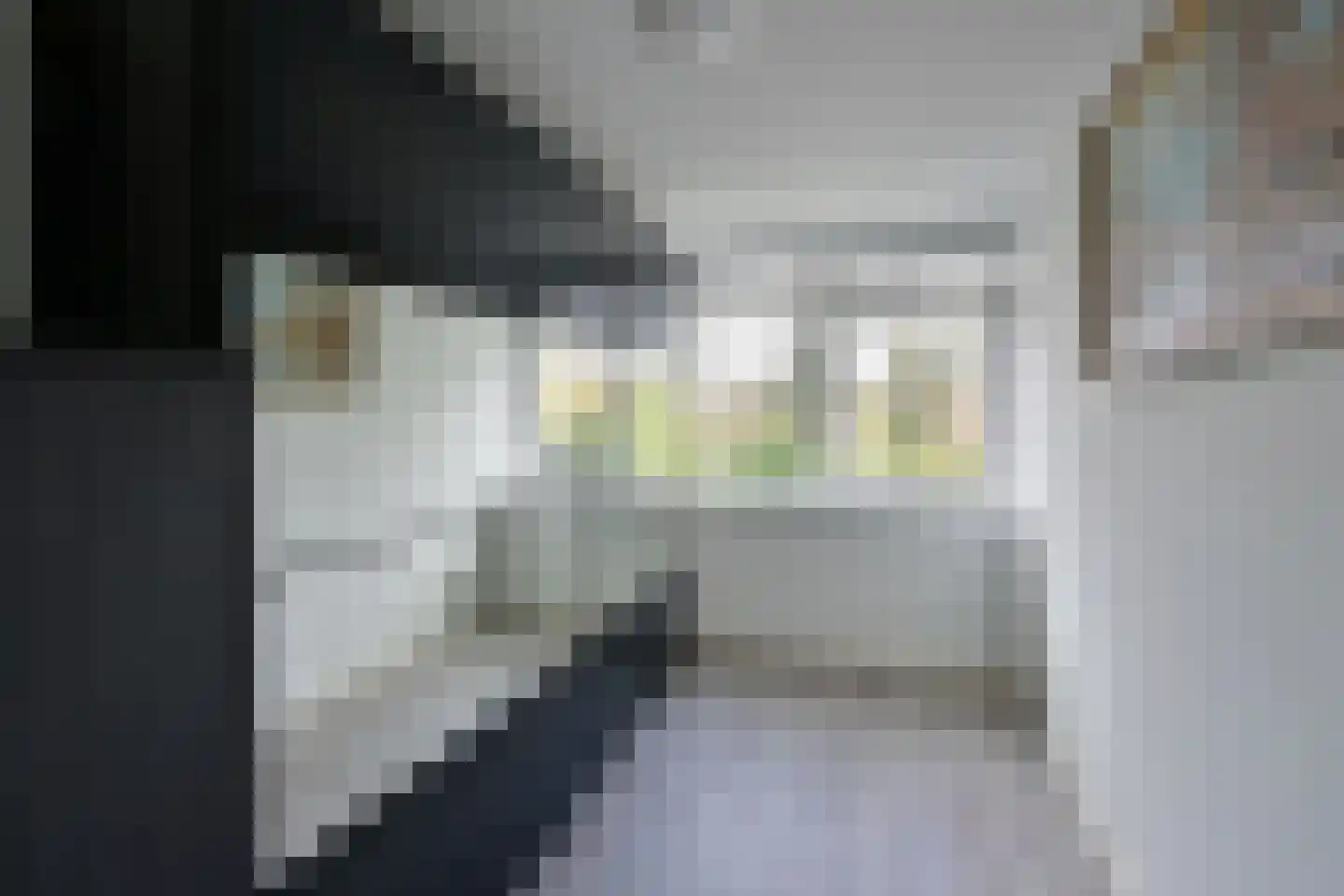 Vloedwal 34 Huizen thumbnail 15