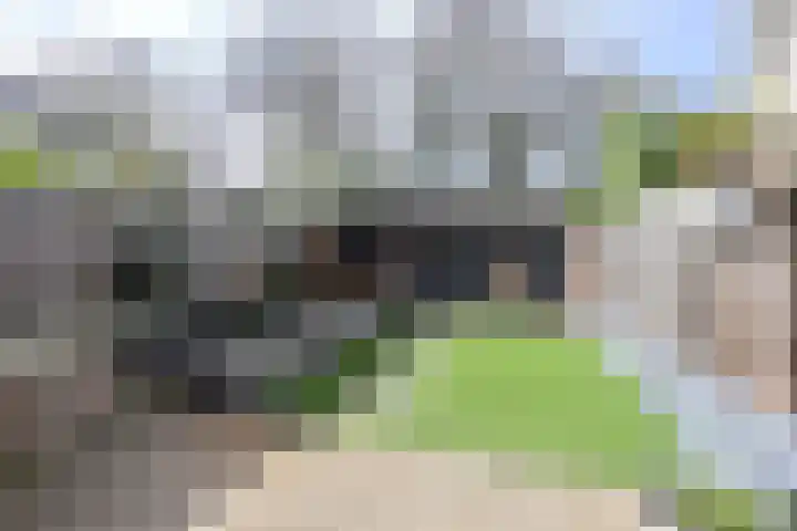 Vloedwal 34 Huizen thumbnail 17