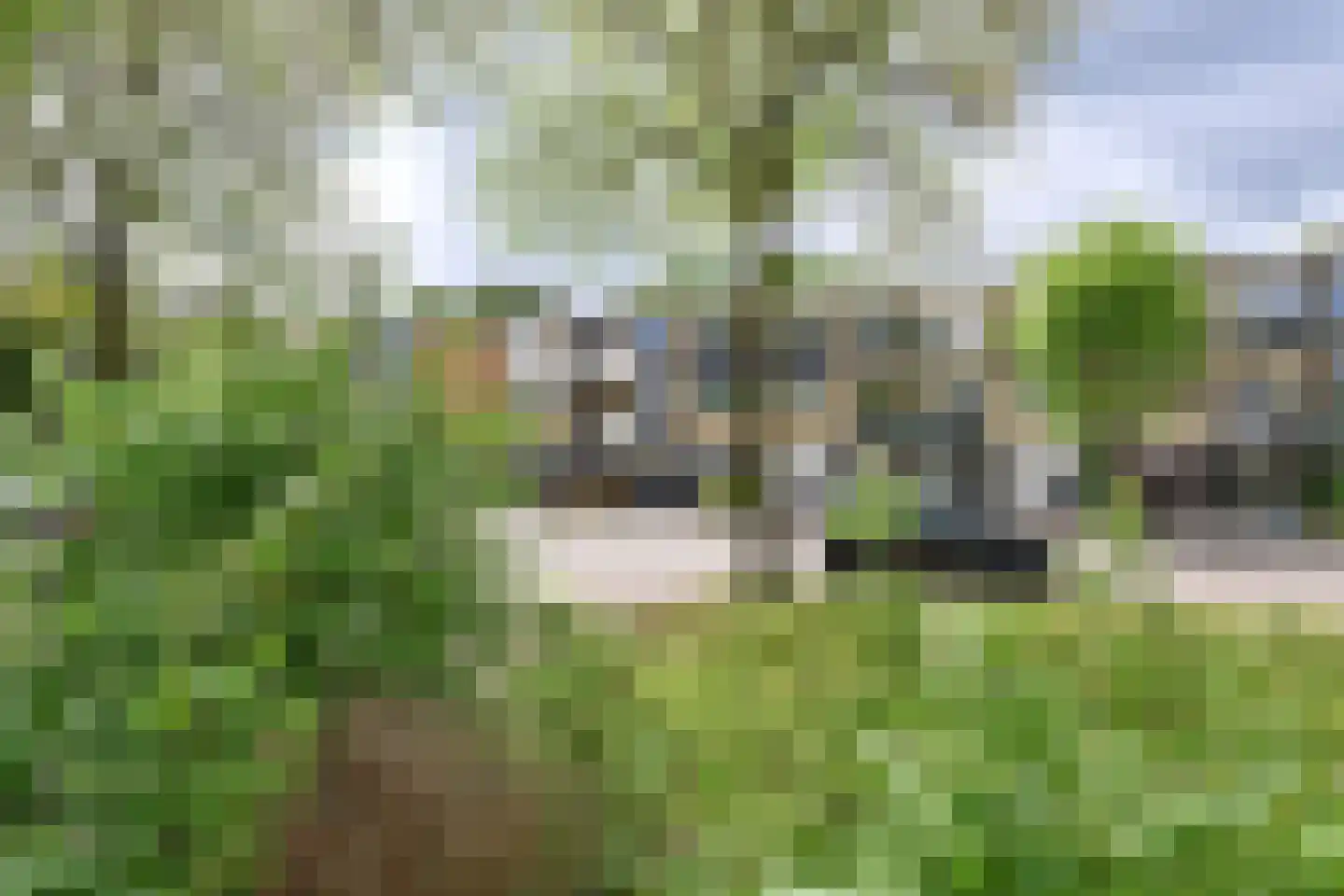 Vloedwal 34 Huizen thumbnail 20