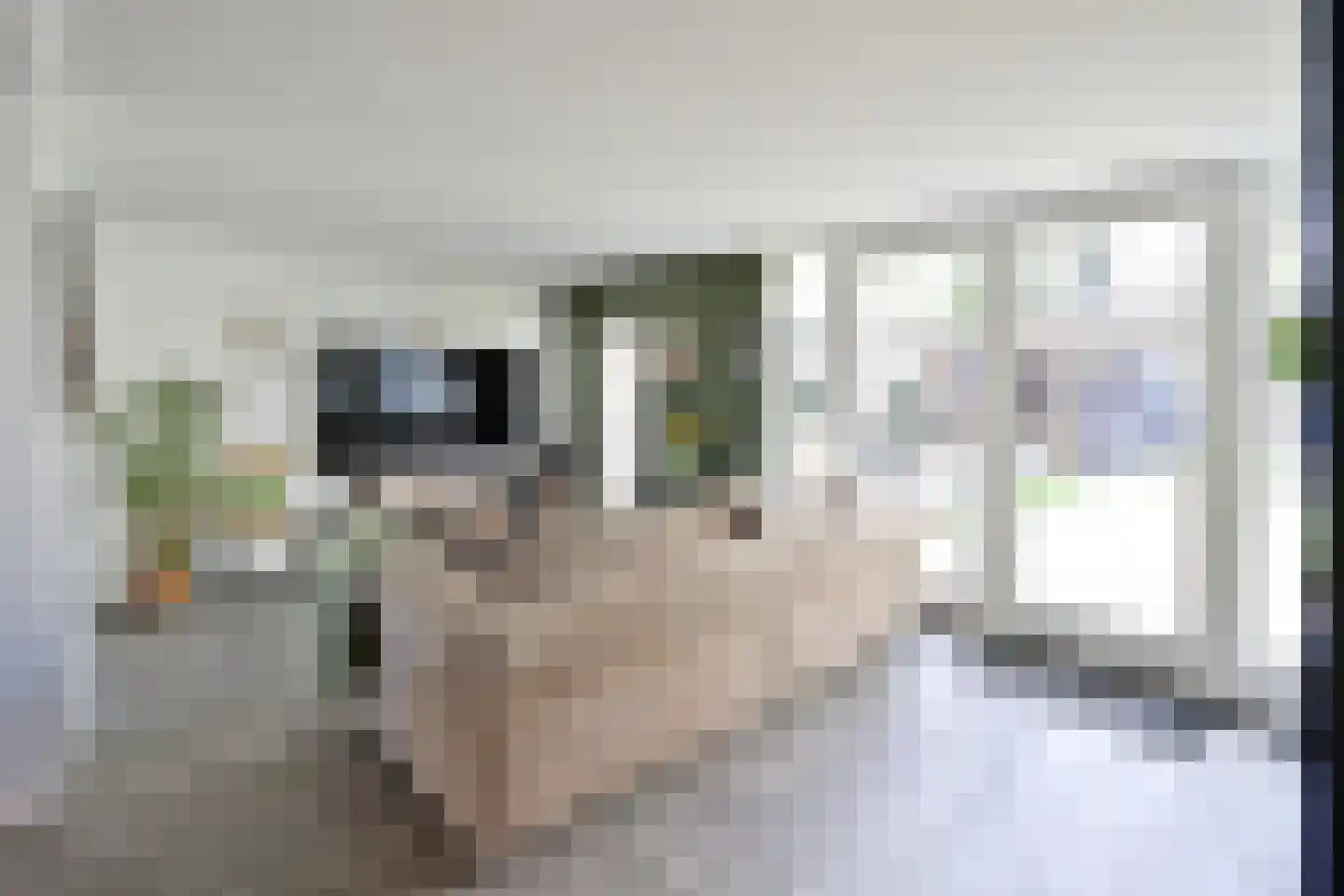 Vloedwal 34 Huizen thumbnail 4