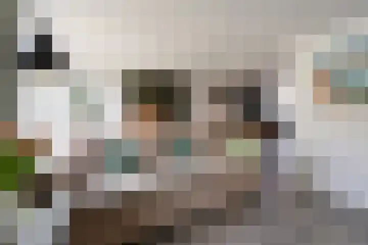 Vloedwal 34 Huizen thumbnail 5