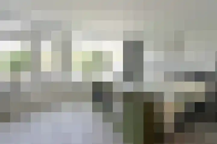 Vloedwal 34 Huizen thumbnail 7