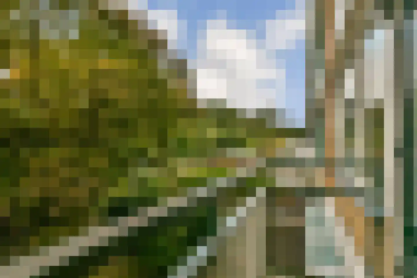 Vloedwal 42 Huizen thumbnail 20