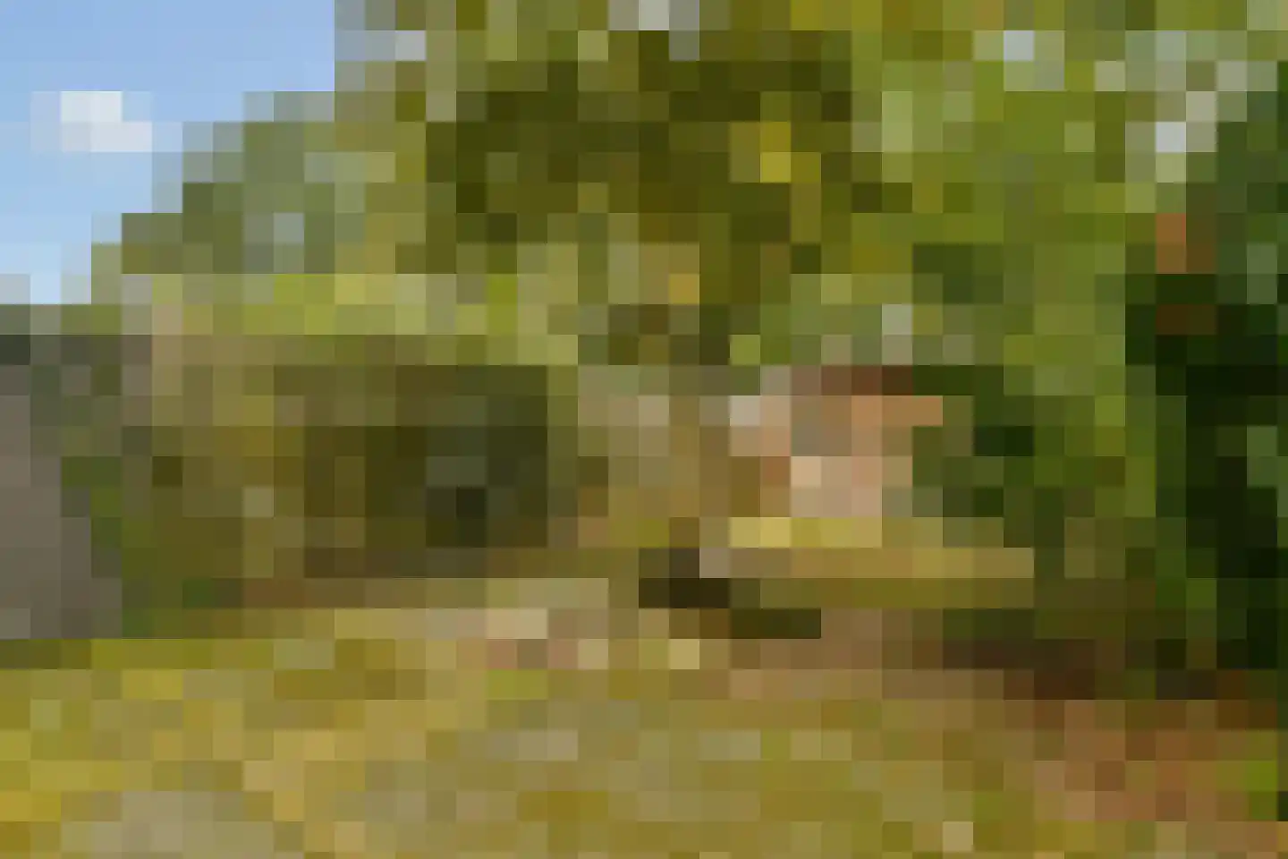 Vloedwal 42 Huizen thumbnail 7