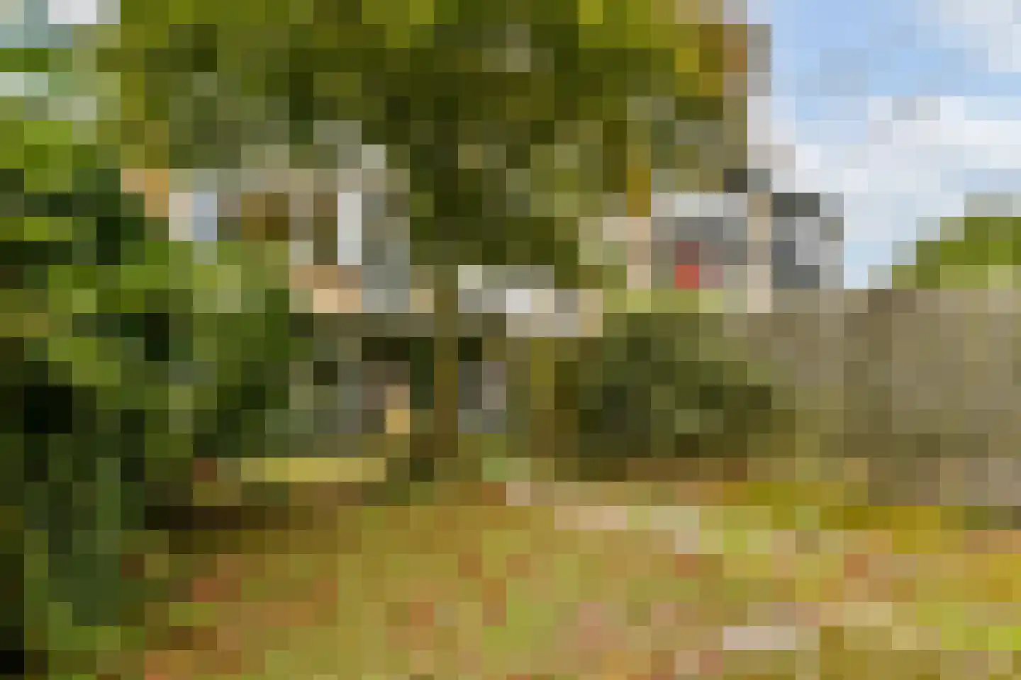 Vloedwal 42 Huizen thumbnail 8
