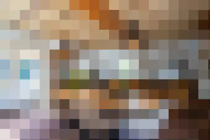 Vloeieind 16 Lage Mierde thumbnail 11