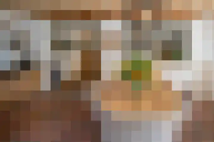 Vloeieind 16 Lage Mierde thumbnail 12