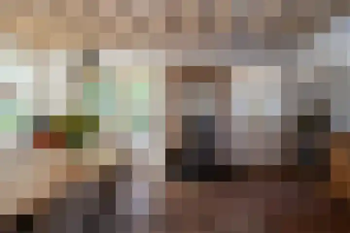 Vloeieind 16 Lage Mierde thumbnail 13