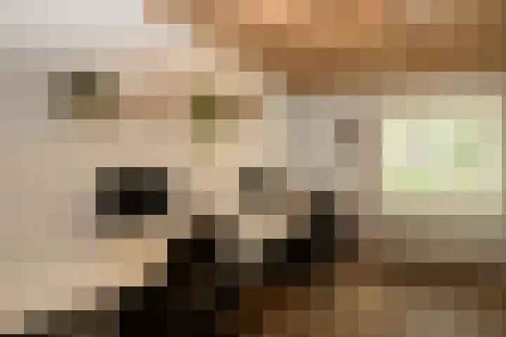 Vloeieind 16 Lage Mierde thumbnail 14
