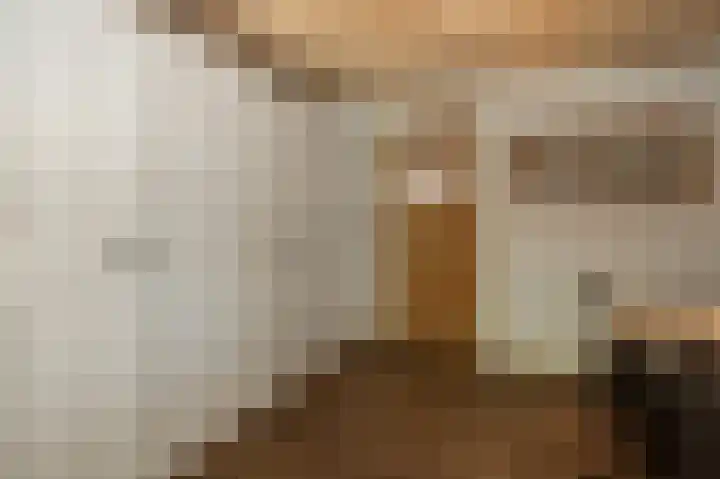 Vloeieind 16 Lage Mierde thumbnail 15