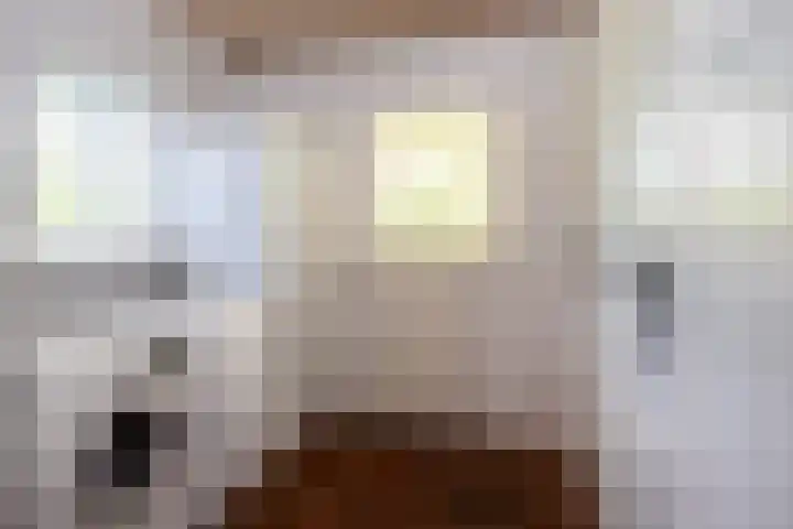 Vloeieind 16 Lage Mierde thumbnail 16