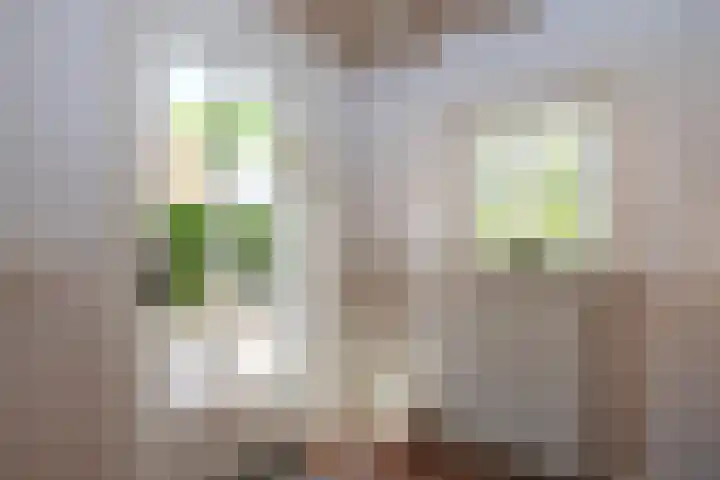 Vloeieind 16 Lage Mierde thumbnail 17
