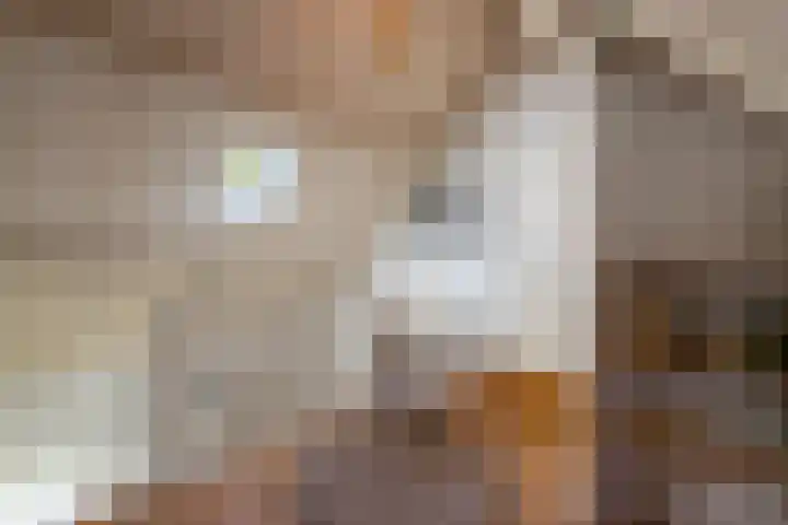 Vloeieind 16 Lage Mierde thumbnail 18