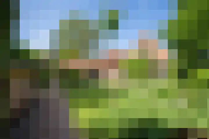 Vloeieind 16 Lage Mierde foto 2