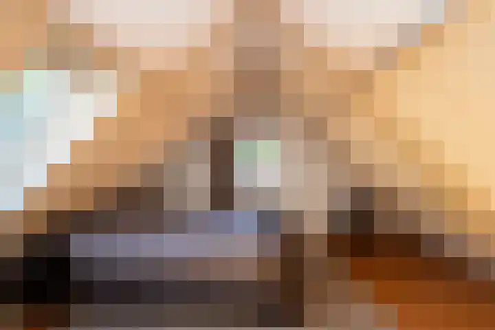 Vloeieind 16 Lage Mierde thumbnail 20