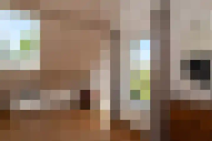 Vloeieind 16 Lage Mierde thumbnail 24