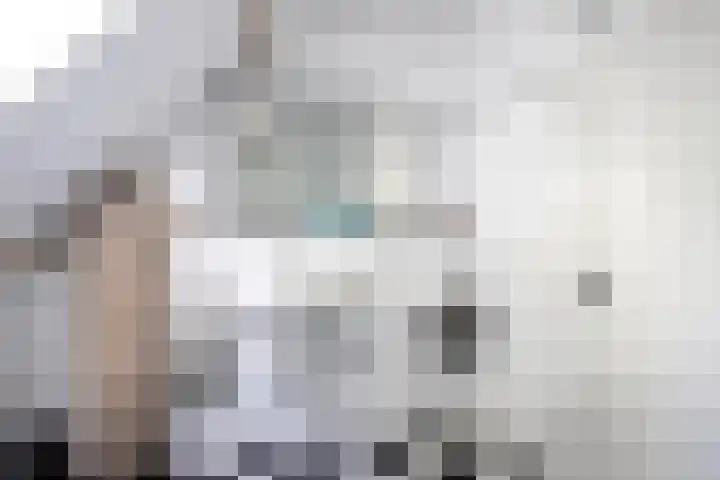 Vloeieind 16 Lage Mierde thumbnail 25