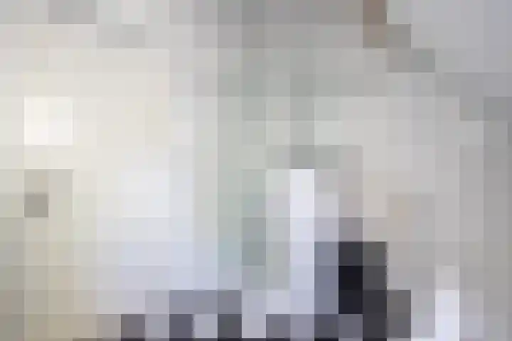 Vloeieind 16 Lage Mierde thumbnail 26