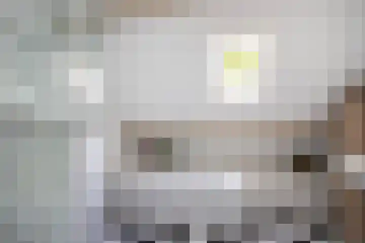 Vloeieind 16 Lage Mierde thumbnail 27