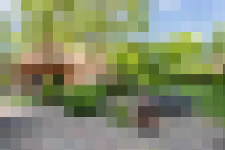 Vloeieind 16 Lage Mierde thumbnail 28