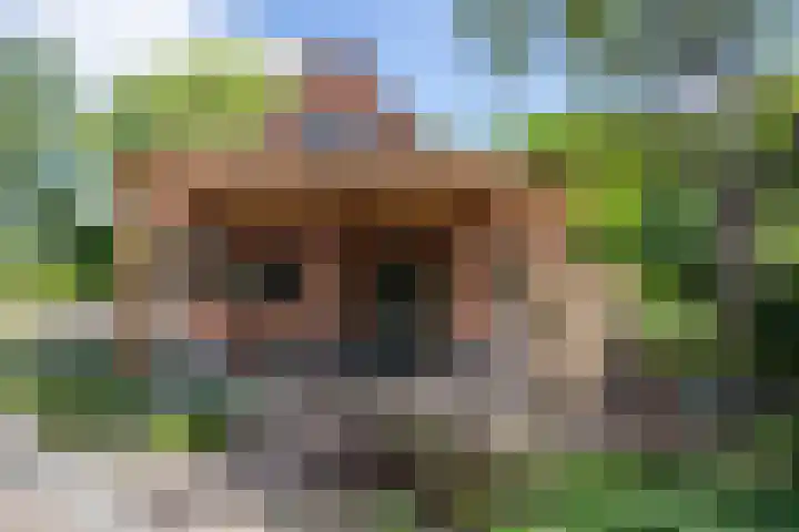 Vloeieind 16 Lage Mierde thumbnail 29