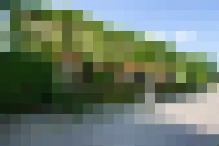 Vloeieind 16 Lage Mierde foto 3